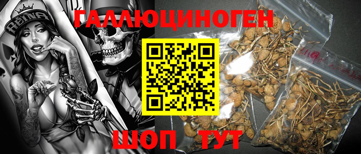 Галлюциногенные грибы GOLDEN TEACHER Сатка