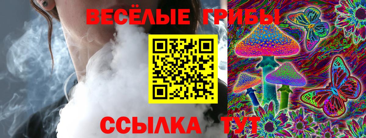 Сатка  Галлюциногенные грибы MAGIC MUSHROOMS  Вход с VPN  где можно купить   Галлюциногенные грибы мухоморы 